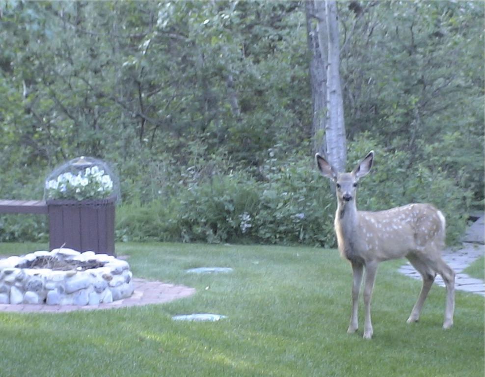 Redwood Meadows Bed And Breakfast Bragg Creek 외부 사진